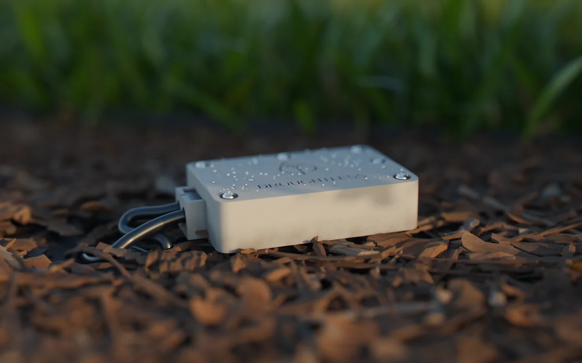 A Droughtless Sense soil node on mulch at the edge of a lawn, beaded with dew, its two probe cables running into the soil.